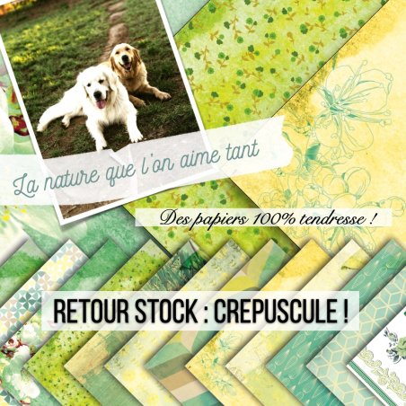 Set papiers Crépuscule - 6...