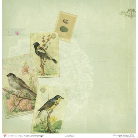 Set papiers Leçon de choses - 6 papiers 30,5x31,5 cm + 6 papiers 12x30,5cm