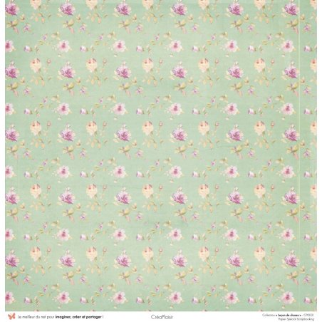 Set papiers Leçon de choses - 6 papiers 30,5x31,5 cm + 6 papiers 12x30,5cm