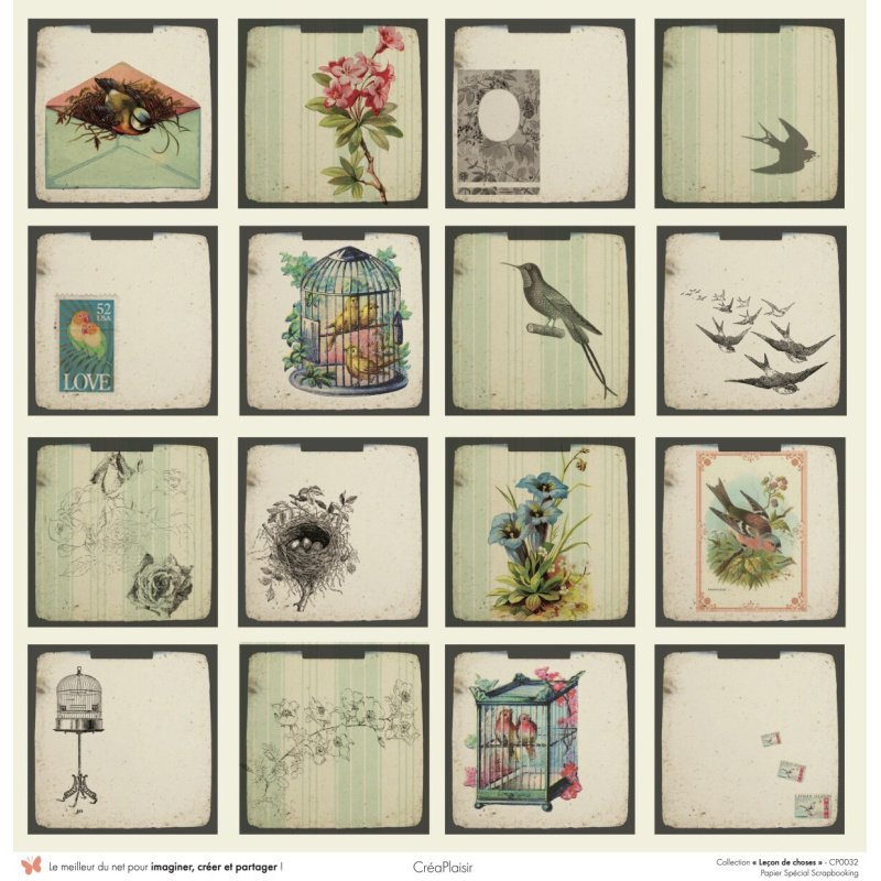 Set papiers Leçon de choses - 6 papiers 30,5x31,5 cm + 6 papiers 12x30,5cm