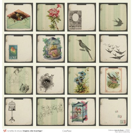 Set papiers Leçon de choses - 6 papiers 30,5x31,5 cm + 6 papiers 12x30,5cm