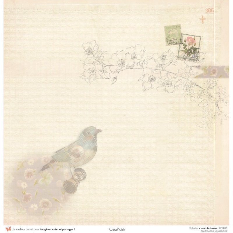 Set papiers Leçon de choses - 6 papiers 30,5x31,5 cm + 6 papiers 12x30,5cm