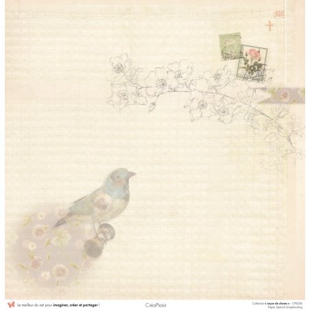 Set papiers Leçon de choses - 6 papiers 30,5x31,5 cm + 6 papiers 12x30,5cm