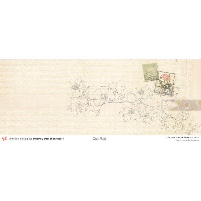 Set papiers Leçon de choses - 6 papiers 30,5x31,5 cm + 6 papiers 12x30,5cm