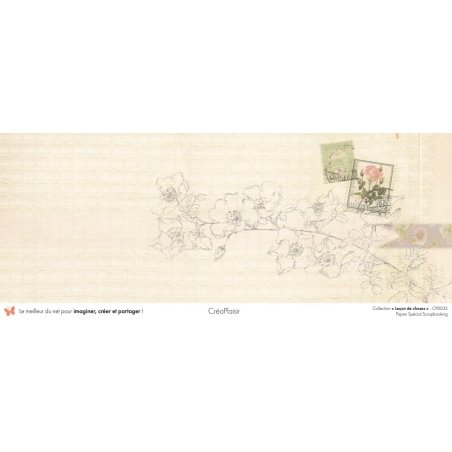 Set papiers Leçon de choses - 6 papiers 30,5x31,5 cm + 6 papiers 12x30,5cm