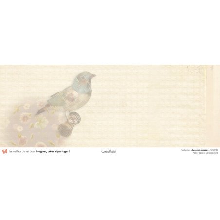 Set papiers Leçon de choses - 6 papiers 30,5x31,5 cm + 6 papiers 12x30,5cm