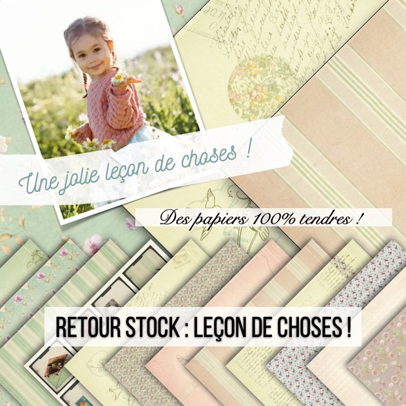 Set papiers Leçon de choses - 6 papiers 30,5x31,5 cm + 6 papiers 12x30,5cm