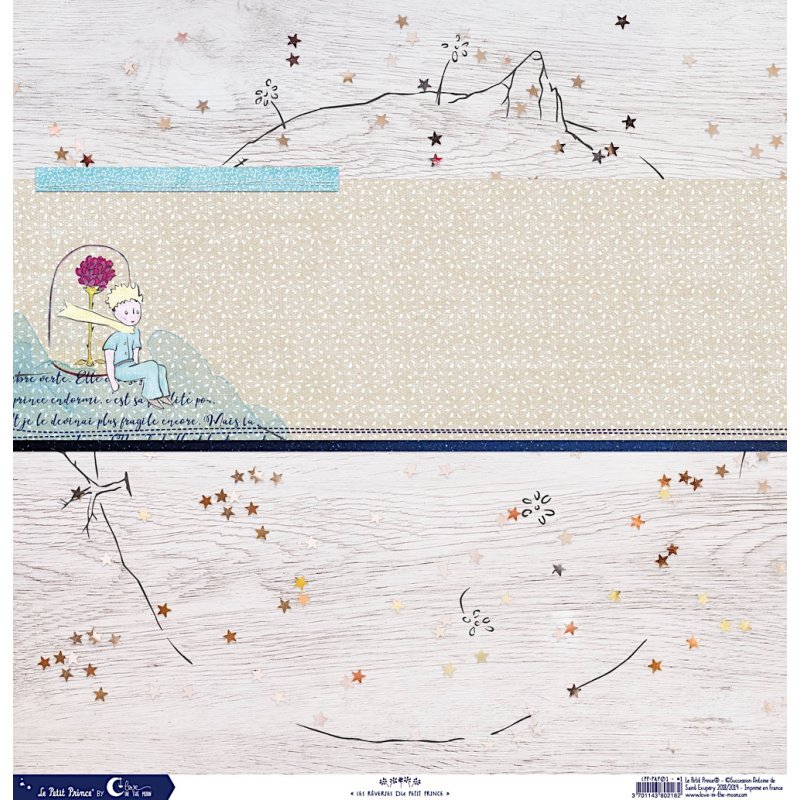 Set de 12 papiers Les rêveries du Petit Prince 250 g/m2 - 30,5x30,5 cm