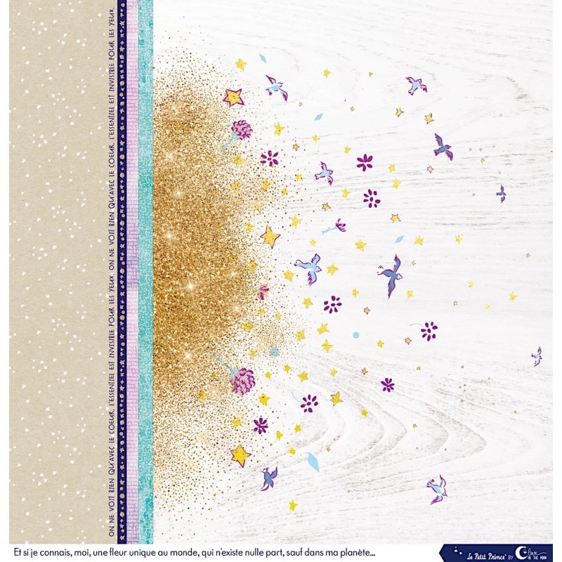 Set de 12 papiers Les rêveries du Petit Prince 250 g/m2 - 30,5x30,5 cm