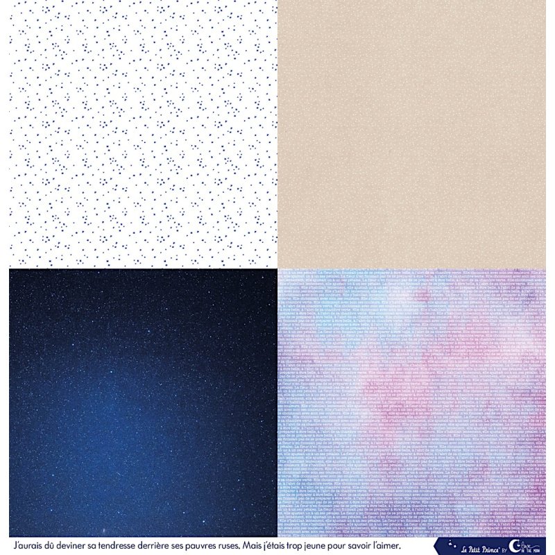 Set de 12 papiers Les rêveries du Petit Prince 250 g/m2 - 30,5x30,5 cm