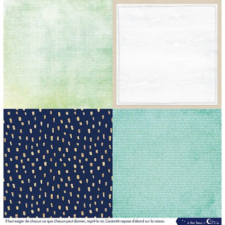 Set de 12 papiers Les rêveries du Petit Prince 250 g/m2 - 30,5x30,5 cm