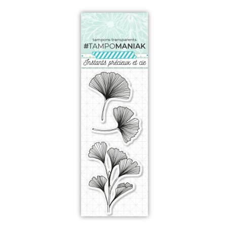 Set de 3 tampones transparentes Ginkgo biloba - 13x5,5cm