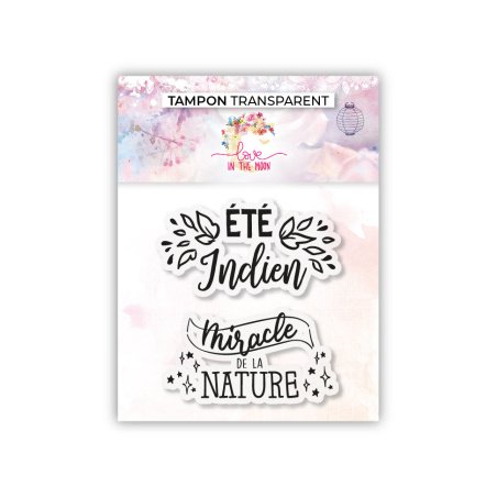 Lote de 2 sellos - Verano indio - 7,5x7cm