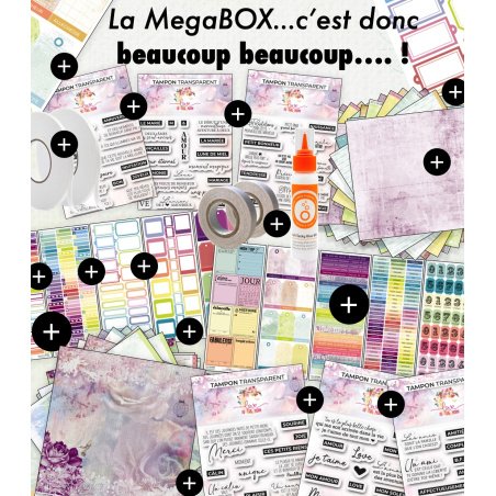 MegaBOX - La vie est belle - Printemps