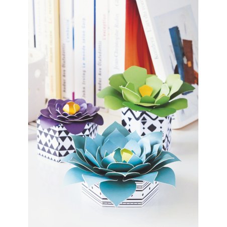 Kit pour créer 3 succulentes décoratives en papier